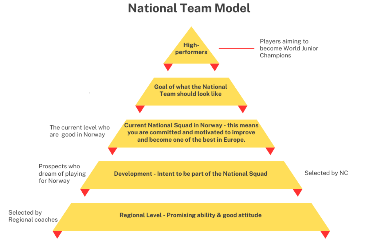 National Team Model, NSqF.png
